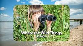 Where the Wild Things Camp