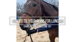 Make sure the noseband and the throatlatch of the cavesson are done up under the cheekpieces of the bridle so that no part of the. How To Tie Your Reins For Lunging Horse Pilates
