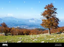 Vista panoramica da Serra di Crispo in autunno, Parco Nazionale Pollino,  Monti Appennini meridionali, Italia meridionale Foto stock - Alamy