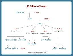 Bible Teachings Jacob S 12 Sons Became The Patriarchs Of The 12 Tribes Of Israel With The Exception Of Bible Family Tree Bible Genealogy 12 Tribes Of Israel
