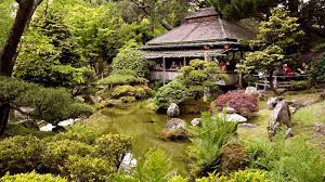 A Guide To The Japanese Tea Garden In Golden Gate Park