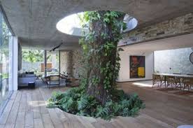 Une Belle Maison Au Bresil Construite Autour D Un Arbre Water House Falling Water House House In Nature