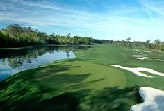 Image result for who owns sugar hill golf course houston