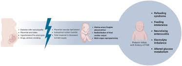 Image result for Preterm Infant Growth