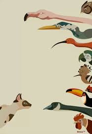 Pin By Mimi Ween On Phone Wallpaper In 2020 Animal Illustration Illustration Animals