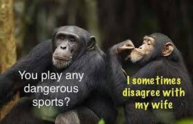 Who doesn't like a good laugh? Monkeys Funny Quotes Friday Funny Images Funny Pictures