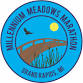 Millennium Meadows Marathon