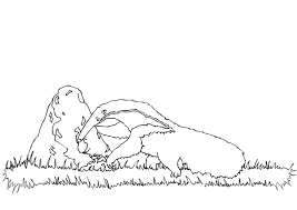 If you want colored (already filled with colors) anteater graphic to print then click print anteater coloring page (color). Anteater Coloring Pages Best Coloring Pages For Kids