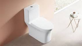 Top 10 Toilet Manufacturers in China - Foshan Sourcing