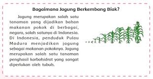 Kunci jawaban inggris kelas 7 halaman 10. Kunci Jawaban Tema 1 Kelas 6 Sd Mi Halaman 4 Subtema 1 Tulislah Ide Pokok Dan Informasi Penting Dari Teks Portal Jember