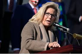 Liz cheney was ousted from the role of conference chairwoman, a result that had become all but inevitable as the wyoming congresswoman dared to tell the truth about donald trump's baseless. For Democrats The Cheneys Are Unlikely Heroes Csmonitor Com