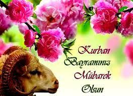 Kurban Bayrami Mesalari Food Animals Wallpaper Pictures Qurban