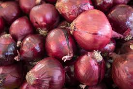 States with the most cases of salmonella newport include oregon (71). The Fda Finds Likely Source To Contaminated Red Onions New Food Magazine