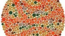 Dari semua huruf di papan tersebut, huruf e dinilai paling dekat dengan bentuk garis yang sama. Tes Mata Kalau Minus Konon Gambarnya Beda