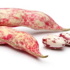 What Are Borlotti Beans And How Are They Used