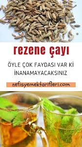 Rezene Cayi Faydalari Neye Iyi Gelir Zayiflatir Mi Nasil Demlenir Nefis Yemek Tarifleri Rezene Yemek Tarifleri Yemek