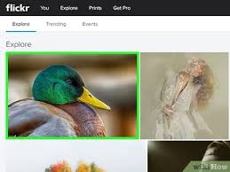Stunning photos and stories, event announcements, latest news, and much more from within the flickr community. 3 Ways To Download Images From Flickr Wikihow