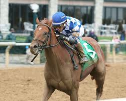 Kentucky Derby 2021 Vicki Oliver First Female Derby Trainer In Years