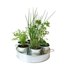 Die perfekte geschenkidee für mädchen, die schon jeden baum im garten der eltern erklommen haben. Garten Geschenke Kreative Dekoration Geschenkidee Ch
