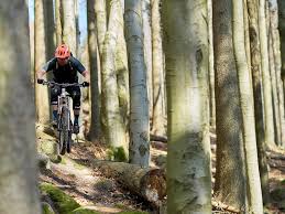 Check for news, concert, tour details, latest info, complete overview for may 2021 on goout. Michal Prokop Shares His Home Trails In West Bohemia Pinkbike