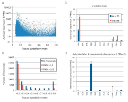 Identify the main muscles of the body, using the accompanying diagram; Transcriptional Profiling Reveals Extraordinary Diversity Among Skeletal Muscle Tissues Elife