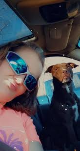 Lost dog near Francis Dollar General in Jackson County reunited with owner