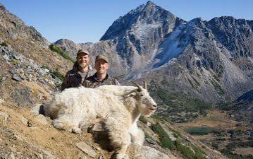 All the info you need on hunting mountain goat