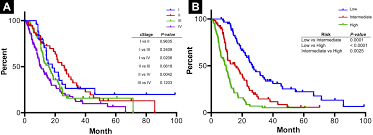 Check spelling or type a new query. Development Of A Novel Prognostic Risk Classification System For Malignant Pleural Mesothelioma Clinical Lung Cancer