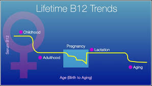 Vitamin B12 How To Reach An Optimized Level For Women