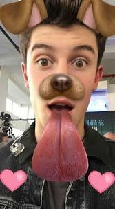 18 Shawn mendes ideas