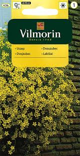 Image result for foto Dvouzubec