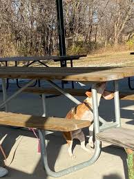 Check spelling or type a new query. Central Iowa Dog Sports Club Home Facebook