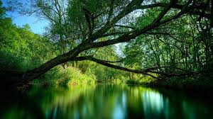 3d Nature Wallpapers 68 Pictures Free live wallpaper for your desktop pc & android phone! 3d nature wallpapers 68 pictures