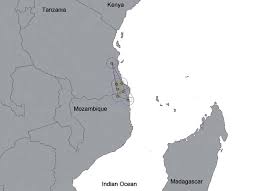 Image result for Monanthotaxis trichantha