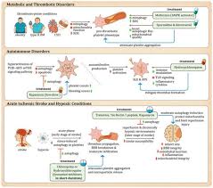Image result for Drug Induced Platelet Dysfunction