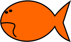 Goldfish Cracker Drawing Crucian Carps Goldfish Clipart Full Size Png Download Seekpng