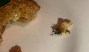 Kebabqueenindonesia@gmail.com bazar event 08568727185 kantor pusat info franchise mau ikut berkarir di kebab queen *syarat: Mcdonald S Mother Left In Flood Of Tears After Finding Dead Spider In Her Apple Pie Express Co Uk