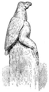 Image result for Brachyachne patentiflora