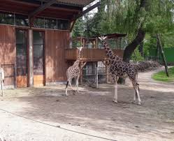 Zoo schmiding travelers' reviews, business hours address: Trfihi Parks Parks Zoo Schmiding