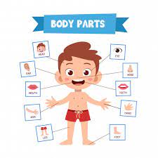 Pin On Aba Prompt Resources