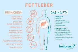 Diat Bei Fettleber Fettleber Die Leber Fett