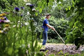 Der ländlich geprägte, naturnahe garten der familie joos, kettershausen, ist im zeitraum von in über 40 jahren zu einer größe von ca. Wie Werde Ich Der Gartnerberuf Bringt Viel Abwechslung Im Laufe Der Ausbildung Konnen Sich Azubis Spezialisieren Alles Im Grunen Bereich News Esslinger Zeitung