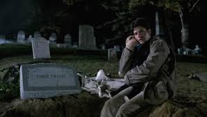 Louis creed, his wife rachel, and their two children, gage and ellie, move to a rural home where they are welcomed and enlightened about the eerie 'pet sematary' located nearby. Revisit Pet Sematary Spectrum Culture