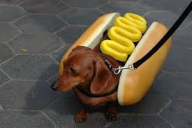 Google Image Result For Http Blog Rifftrax Com Wp Content Photos Weiner Costu Weiner Dog Funny Dachshund Hot Dogs