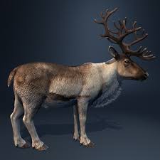 Rigged Reindeer Deer 3d Model Reindeer Animated Christmas Animation
