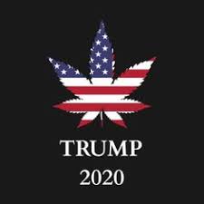 Wallpaper clip art 2020 wallpaper trump 2020. Download Trump 2020 Wallpaper Iphone Cikimm Com