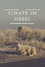 Sylt Im November Ist Wundervoll Schafe Im Nebel Sylt Sylt Tipps Nebel