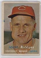 Rocky Bridges Baseball Cards