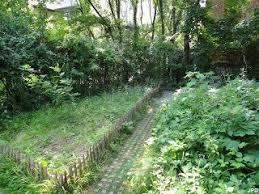 Le Jardin Naturel Jardin Naturel Jardins Idees Jardin