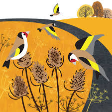 Uk Birds With Yellow Feathers Rachel Hudson Illustration Bird Artwork Bird Illustration Bird Art